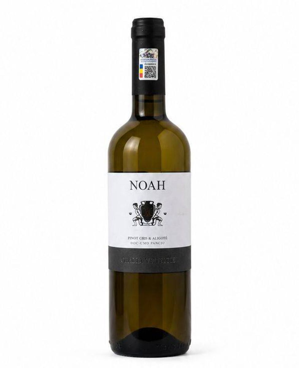 Pinot Gris Valente